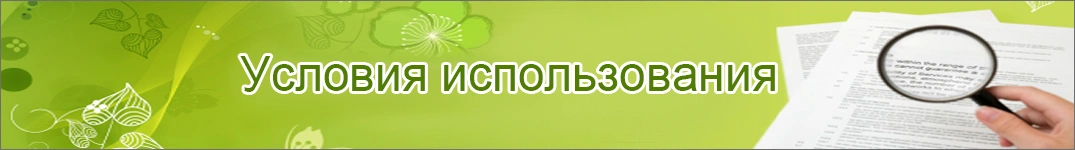 Условия доставки цветов в Беларусь