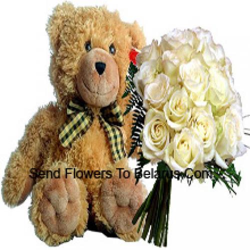 19 Roses Blanches avec Ours en Peluche de 14 Pouces