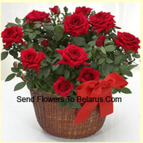 Un bellissimo arrangiamento di 19 rose rosse con riempitivi stagionali