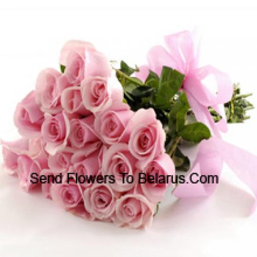 25 Carini Rose Rosa