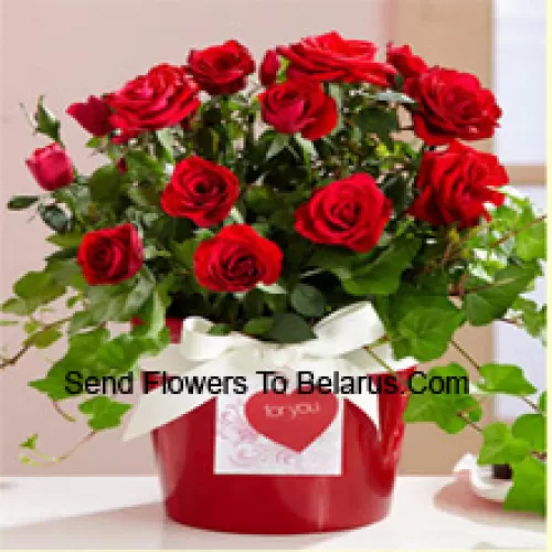 A Beautiful Arrangement Of 19 Red Roses With Seasonal Fillers