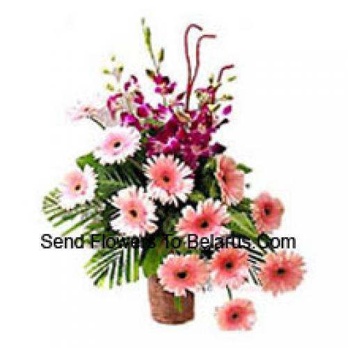 Gerberas Sensacionais com Orquídeas