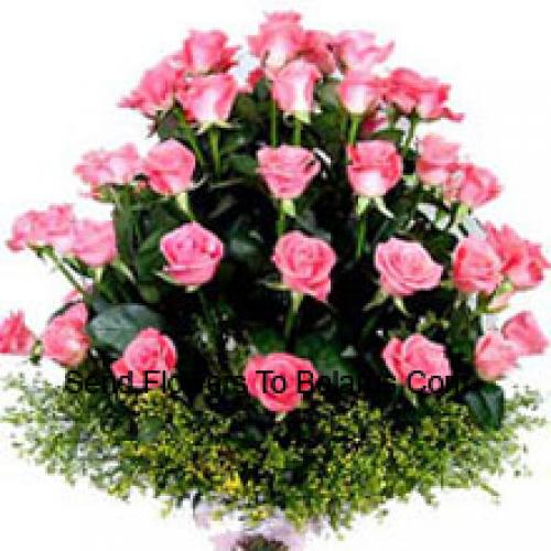 31 Rosas Rosadas Pinky Pink