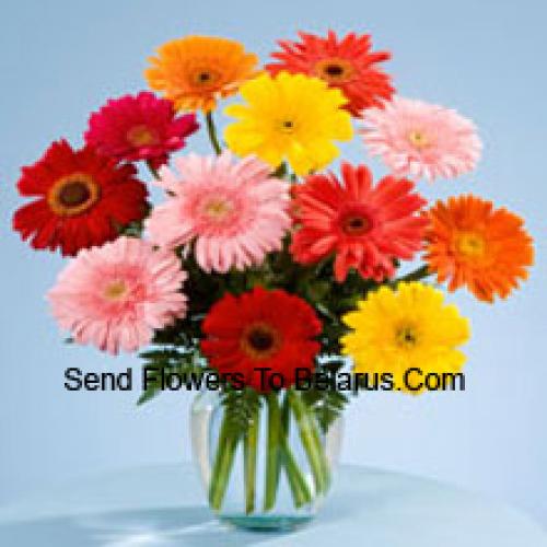 11 Zoete Gemengde Gerbera's