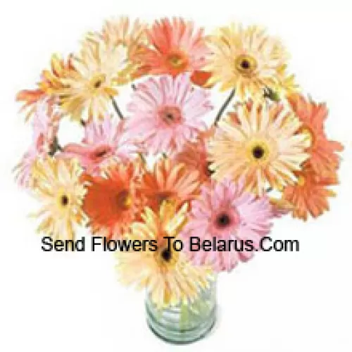 25 Gerberas Coloridas Variadas em um Vaso