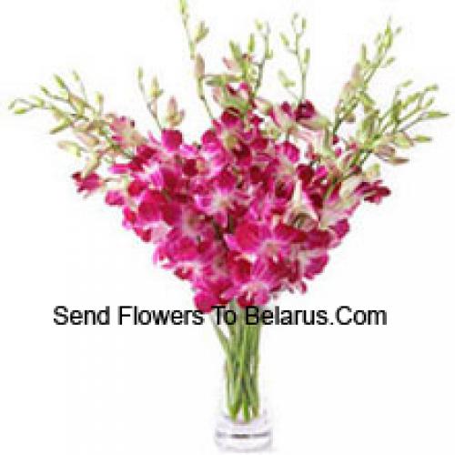 Lovely Orchids in Vase