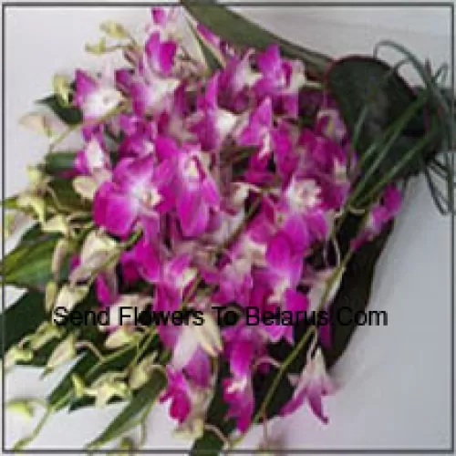 Bunch Of Orchids With Seasonal Fillers