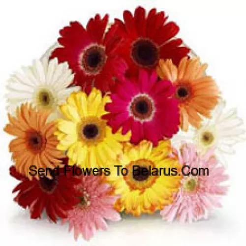 Buket od 11 raznobojnih Gerbera