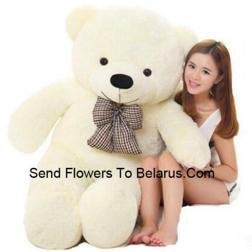 48 Inch Schattige Witte Teddybeer