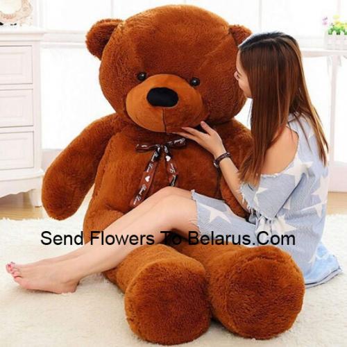 4 Voeten Schattige Bruine Teddy