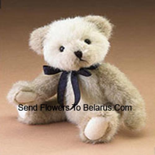 A Cute 6 Inch White Teddy