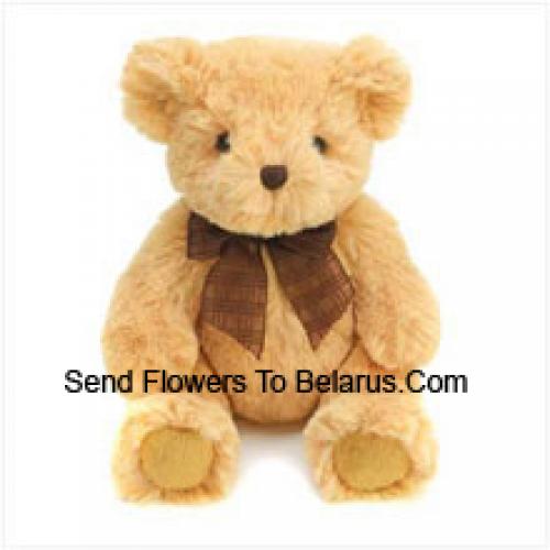 Cuddly 6 Inch Brown Teddy