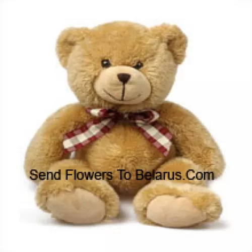 Schattige bruine 12 inch teddybeer