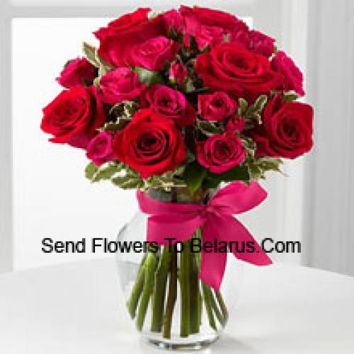 19 Mignons Roses Rouges avec Noeud Rose