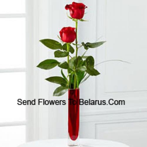 2 Douces Roses Rouges dans un Vase