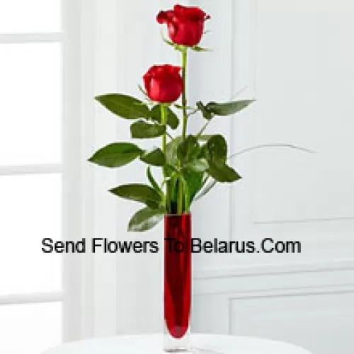 Two Red Roses In A Red Test Tube Vase (We Reserve The Right To Substitute The Vase In Case Of Non-Availability. Limited Stock)