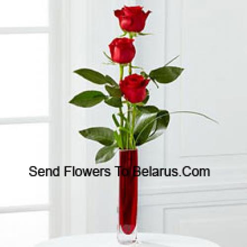 3 Cute Red Roses